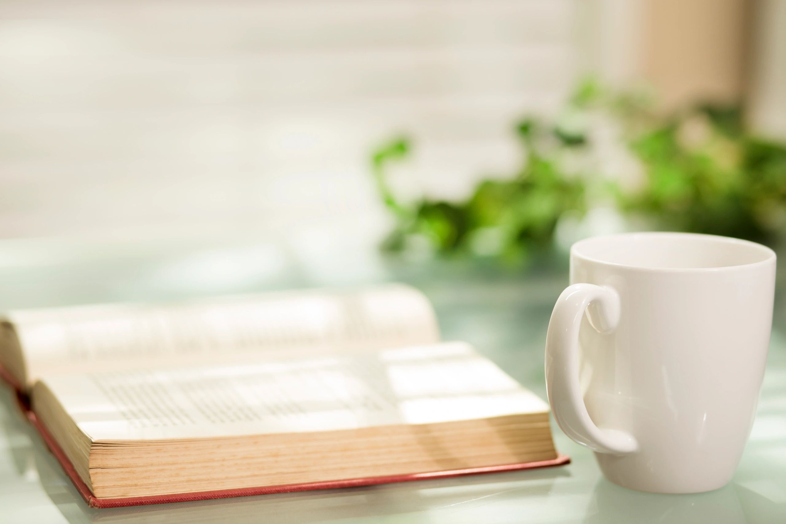 Open book and coffee in a peaceful setting